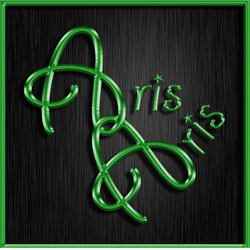 ArisAris Logo Black