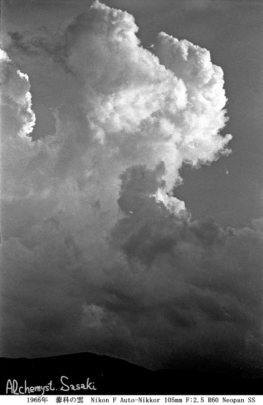 Old 蓼科の空と樹と　雲-13