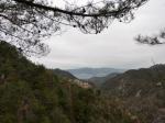 fine viev