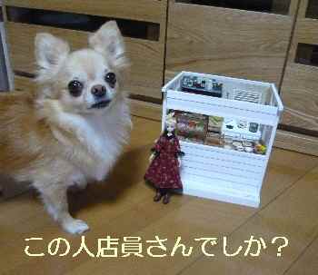 blog2013090301.jpg
