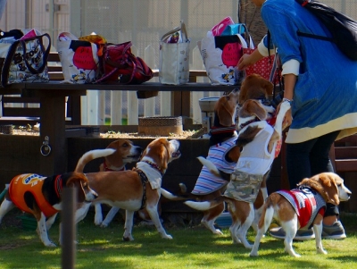 07_2014092014495491e.jpg