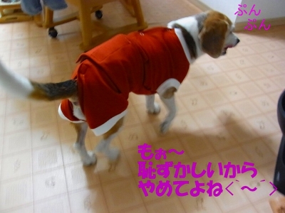 RIMG0077.jpg