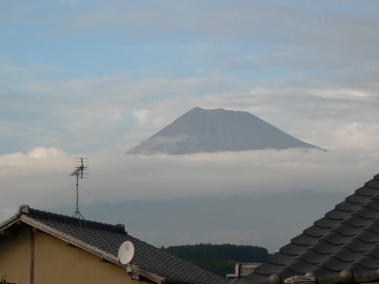 P1350733+1.jpg