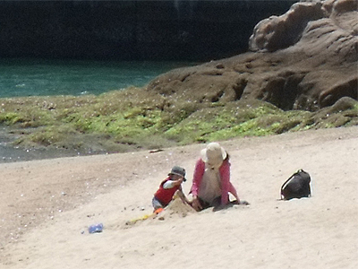 砂浜で遊ぶ親子