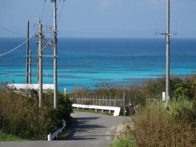 DSC00216.jpg