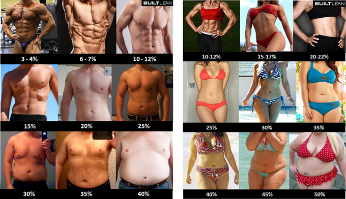 body-fat-percentagejpg.jpg