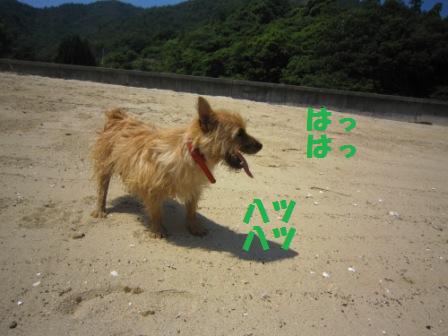 初海IMG_5495 - コピー