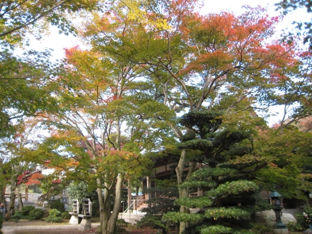法泉寺の紅葉
