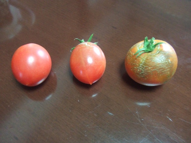 DSCF0331.jpg
