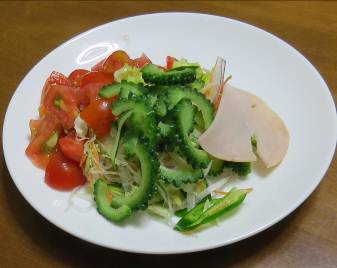 ニガウリ生野菜サラダ