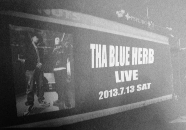 blue herb2