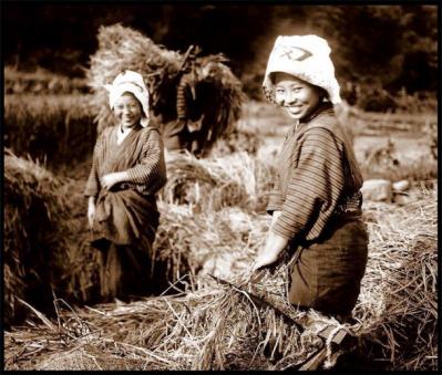 農業をする女性たちの笑顔